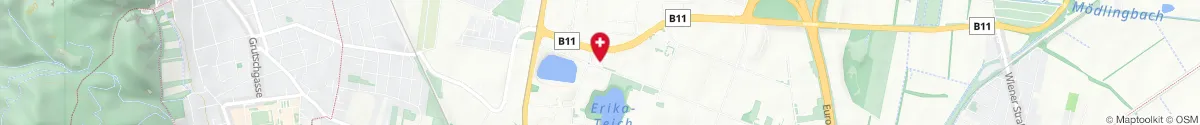 Kartendarstellung des Standorts für team santé apotheke wieneu in 2355 Wiener Neudorf